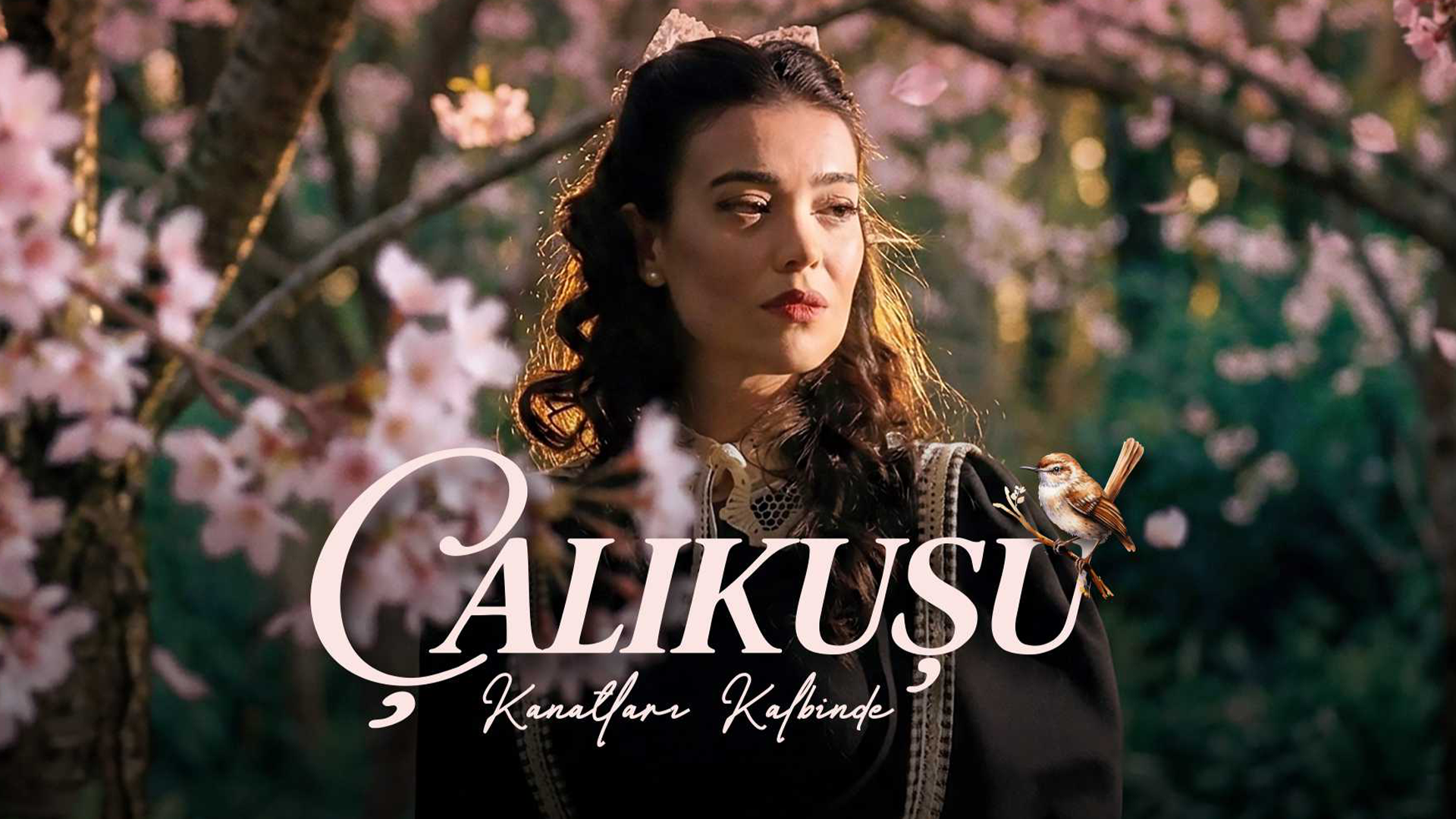 Çalıkuşu - Kanatları Kalbinde afişi