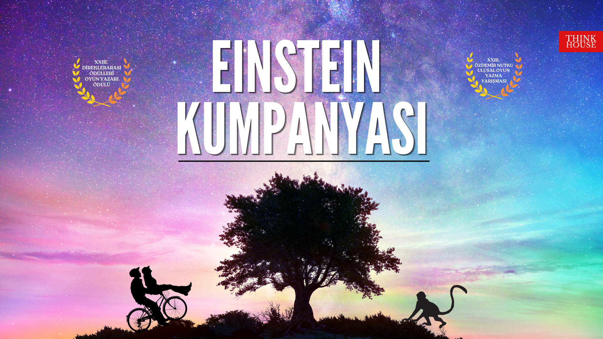 Einstein Kumpanyası afişi