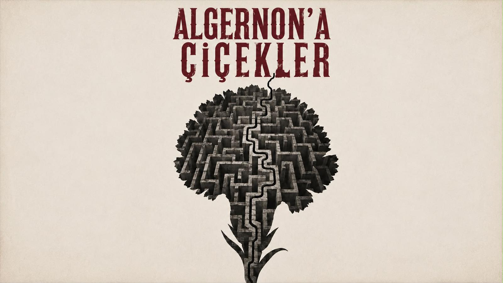 Algernon'a Çiçekler