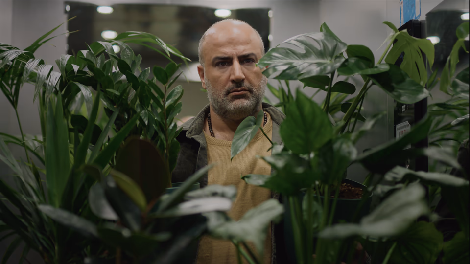 Umut Işığı
