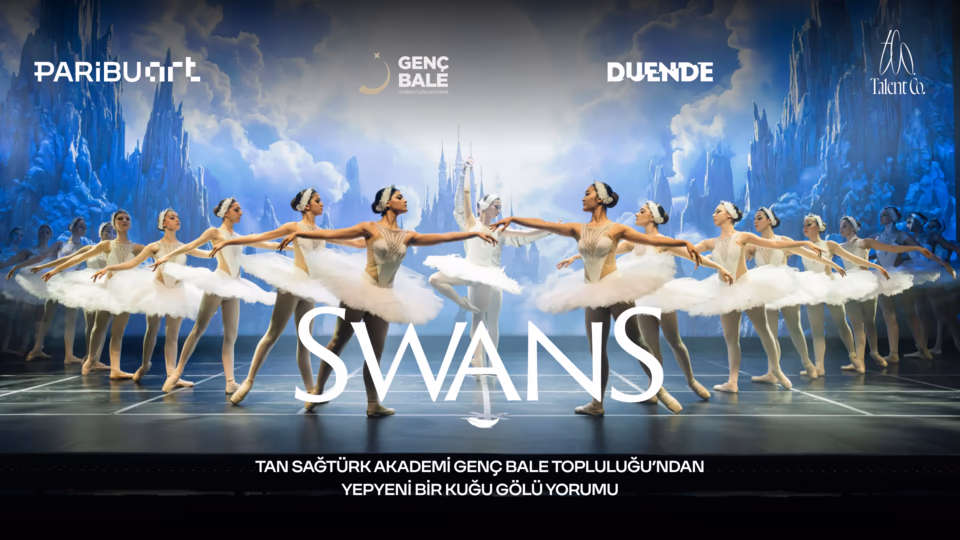 Swans