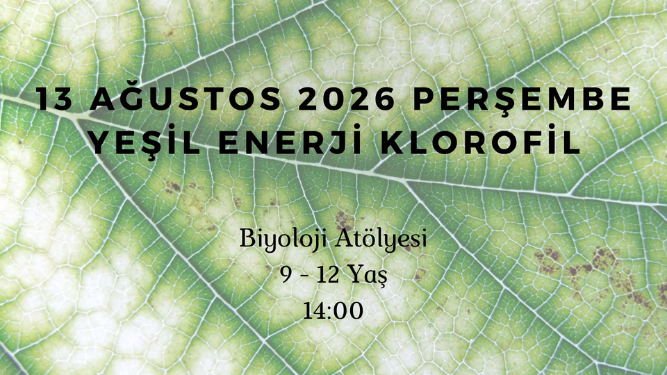 Yeşil Enerji - Klorofil 9-12 Yaş