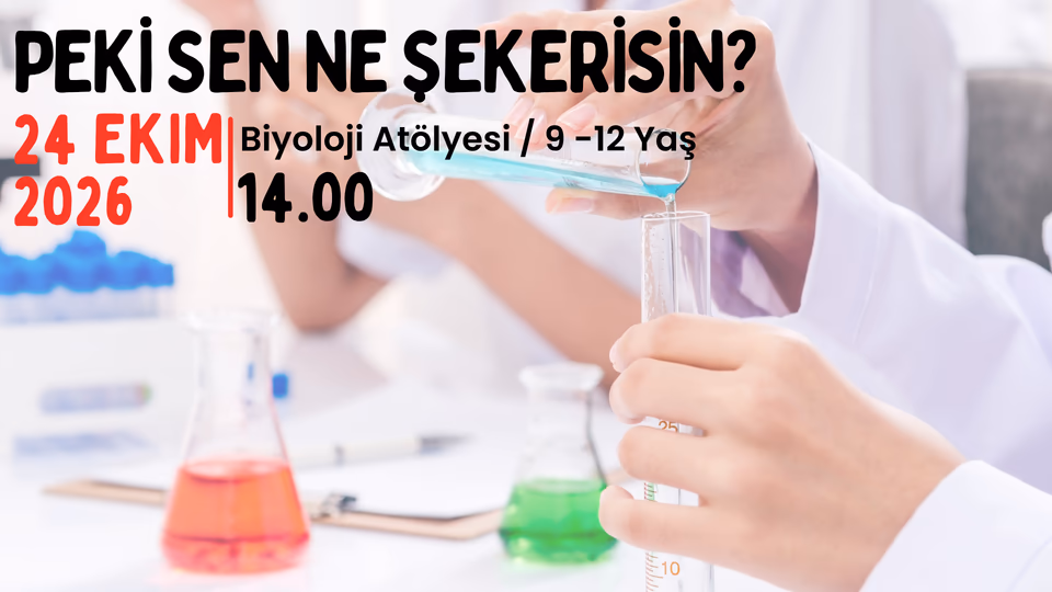 Peki Sen Ne Şekerisin? 9-12 Yaş