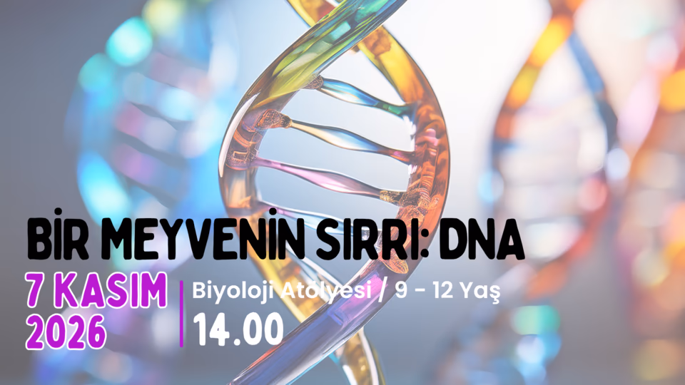 Bir Meyvenin Sırrı : DNA 9-12 Yaş