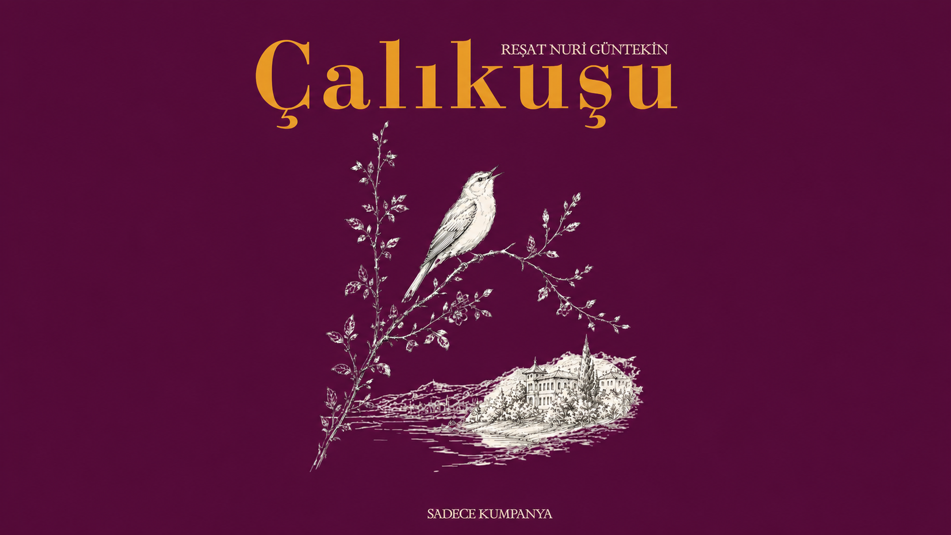 Çalıkuşu afişi