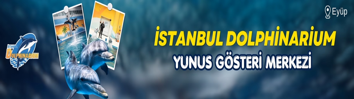 İstanbul Dolphinarium Yunus Gösterileri