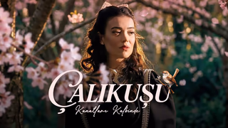 Çalıkuşu - Kanatları Kalbinde