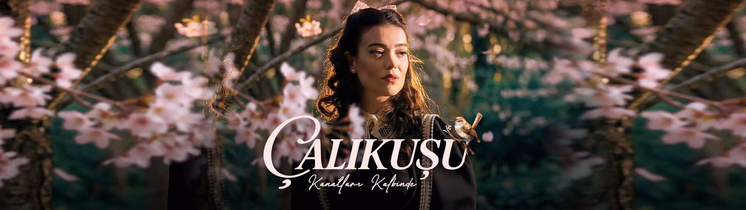 Çalıkuşu - Kanatları Kalbinde