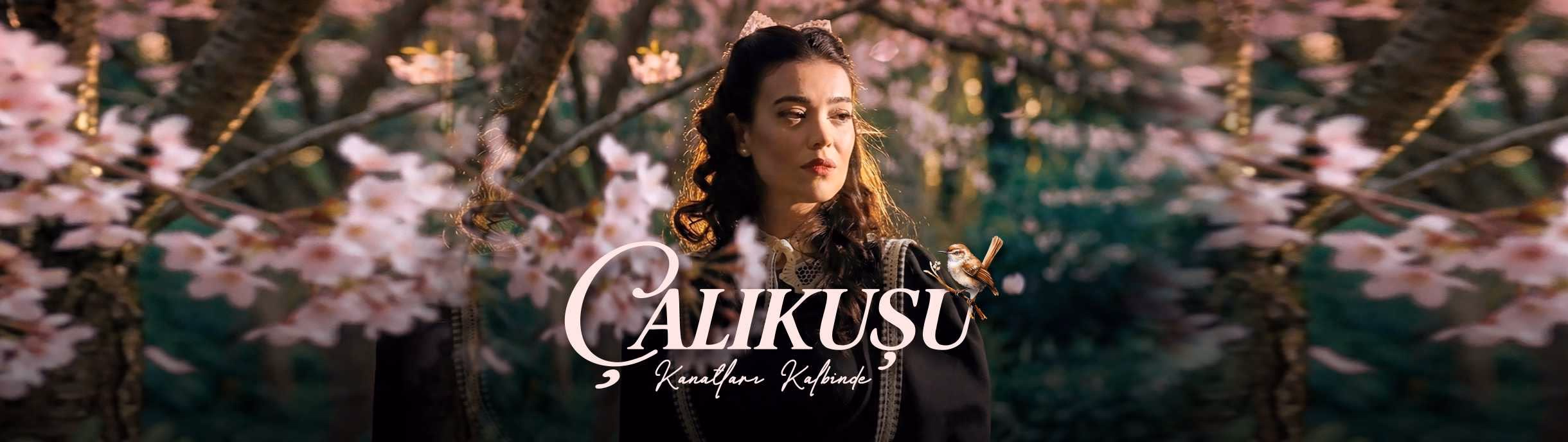 Çalıkuşu