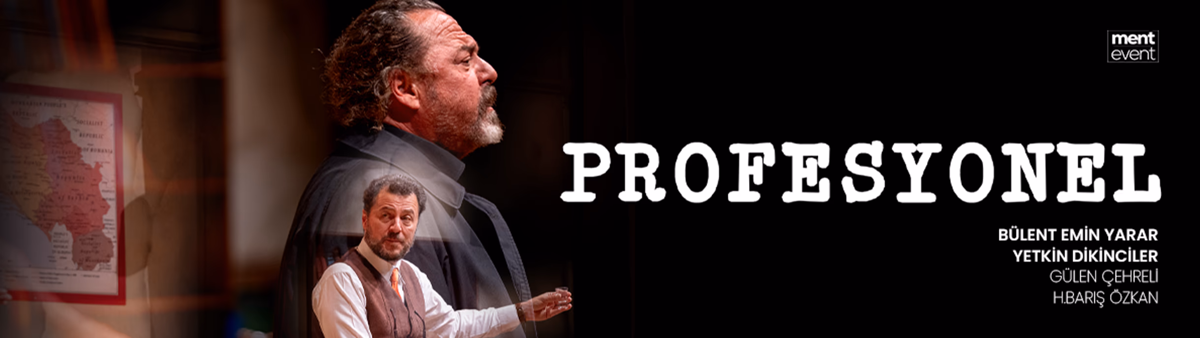 Profesyonel