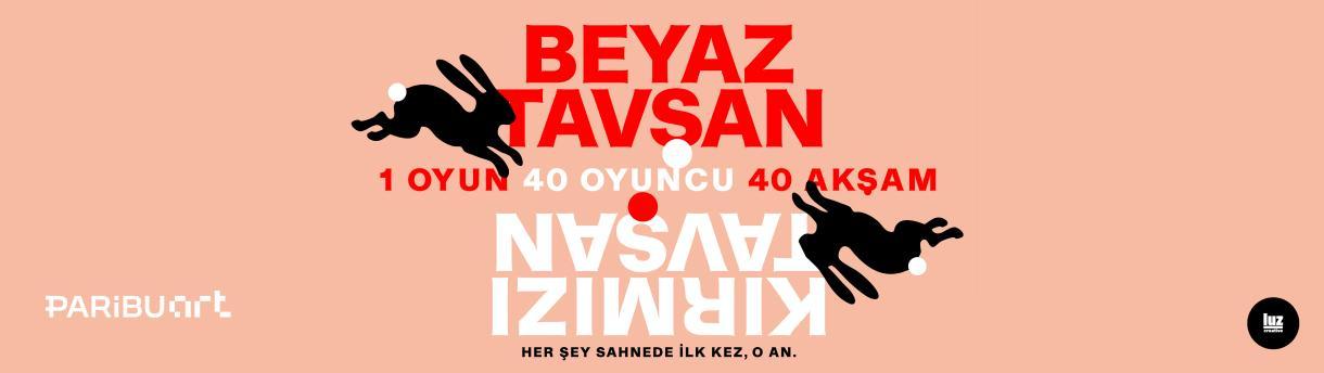 Beyaz Tavşan Kırmızı Tavşan