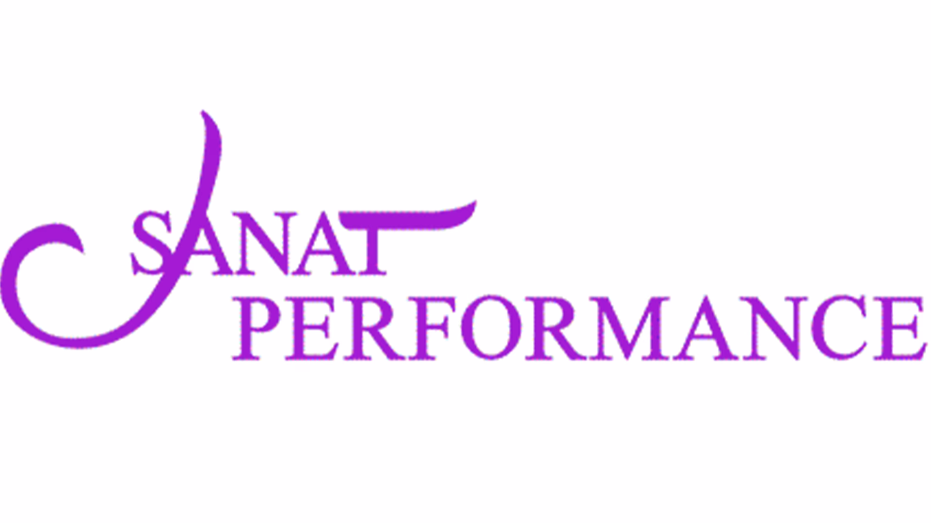 Sanat Performance