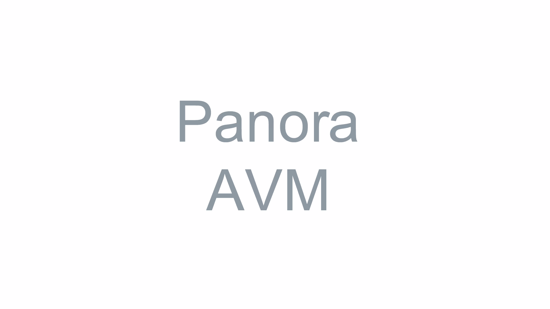 Panora AVM