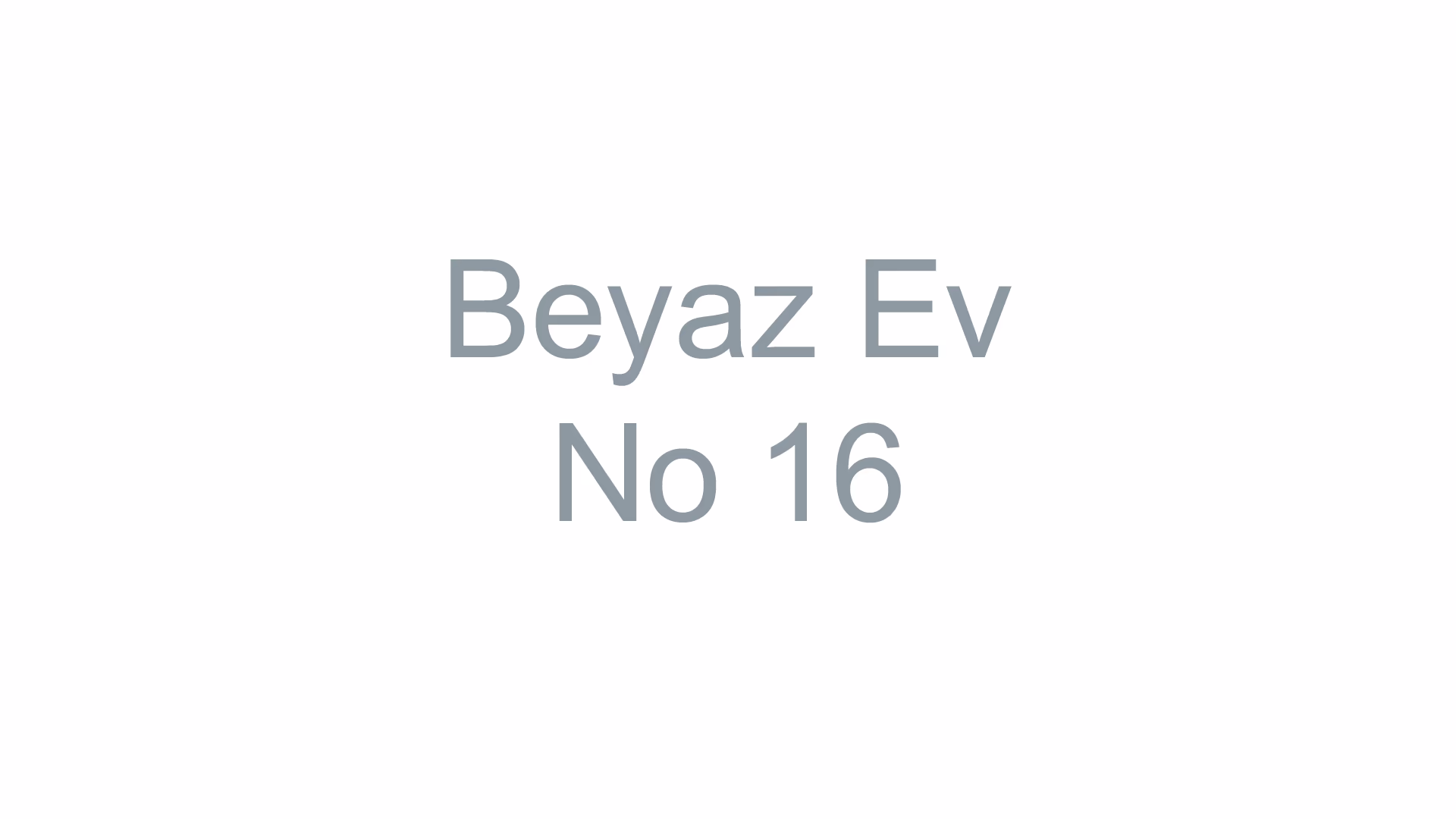 Beyaz Ev No 16