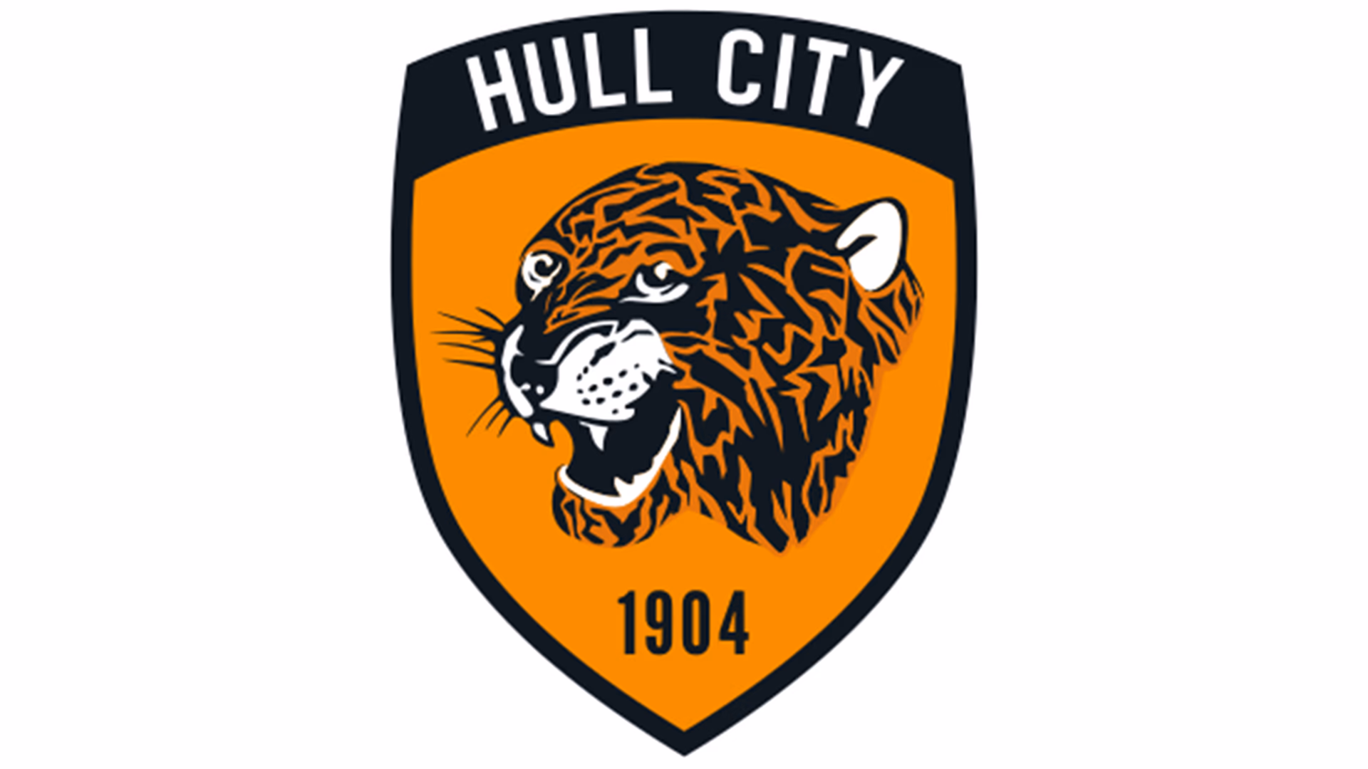 Hull City Maç Paketleri