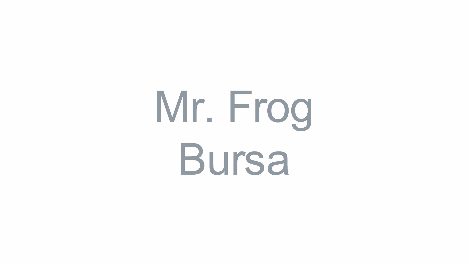 Mr. Frog Bursa